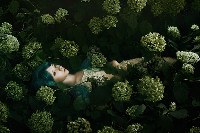 Bella Kotak：花海中的精灵