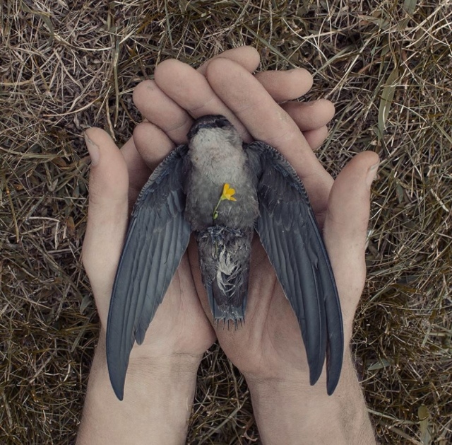 Christopher McKenney的黑暗超现实摄影