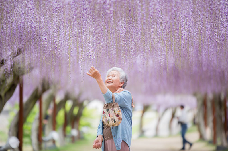 竹中康人：花海中我的祖母