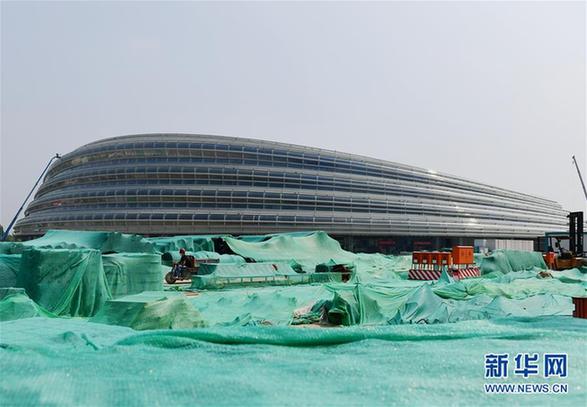 易转换、够低碳、可持续——解密北京冬奥场馆冰面建设亮点
