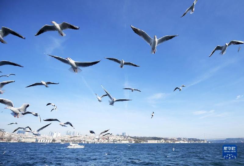 冬日博斯普鲁斯海峡