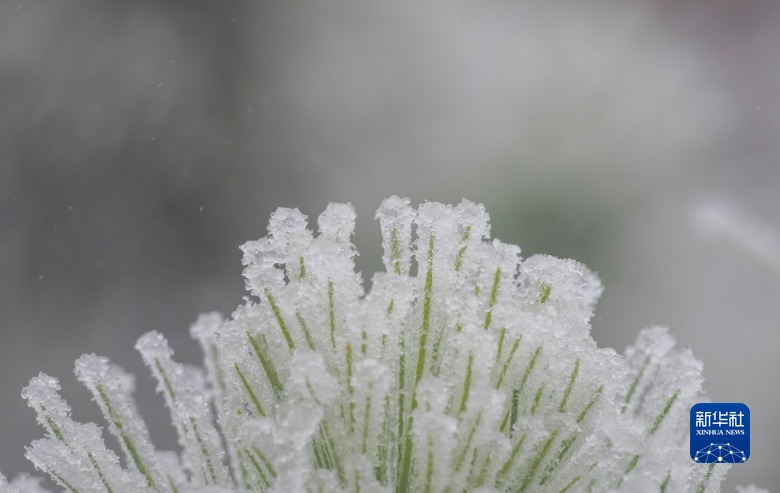 微视界——大雪
