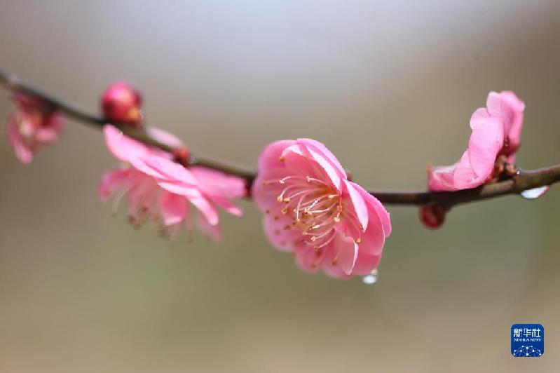 新华全媒+丨微视界——小寒