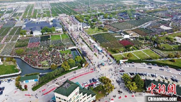 上海：警用直升机与无人机叠加巡逻 确保清明祭扫活动安全有序