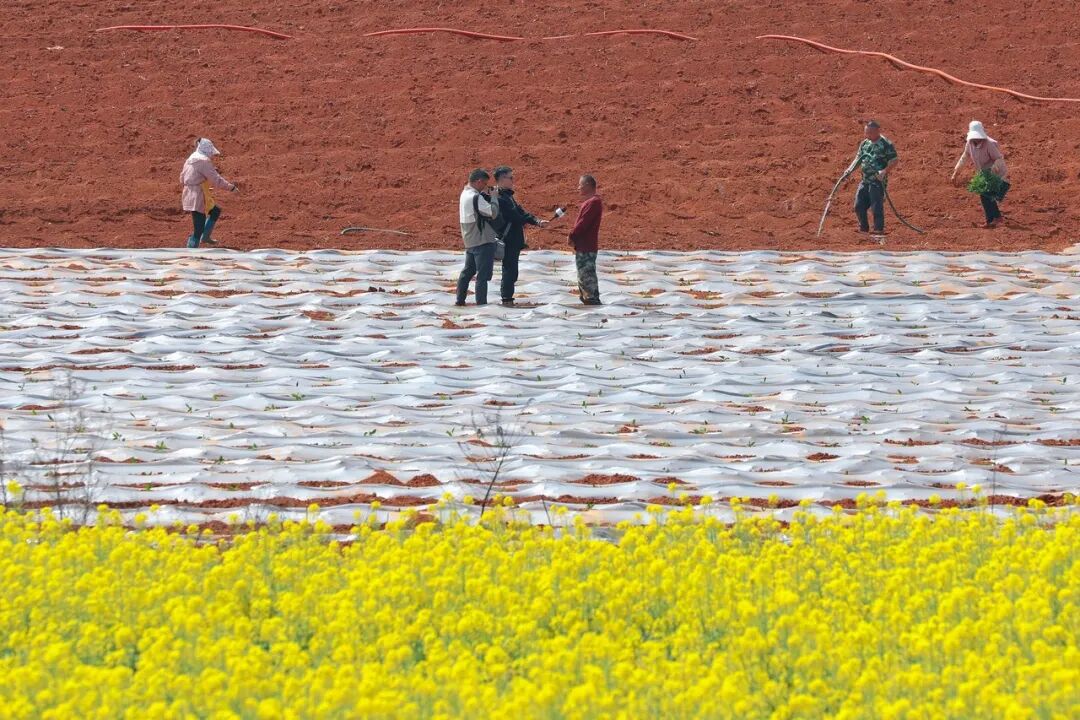 我是记者·我在现场｜工人日报视觉视频部2025记者节特别策划