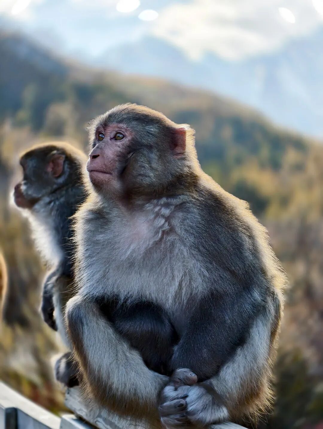 穿越冰峰 遇见稻城亚丁