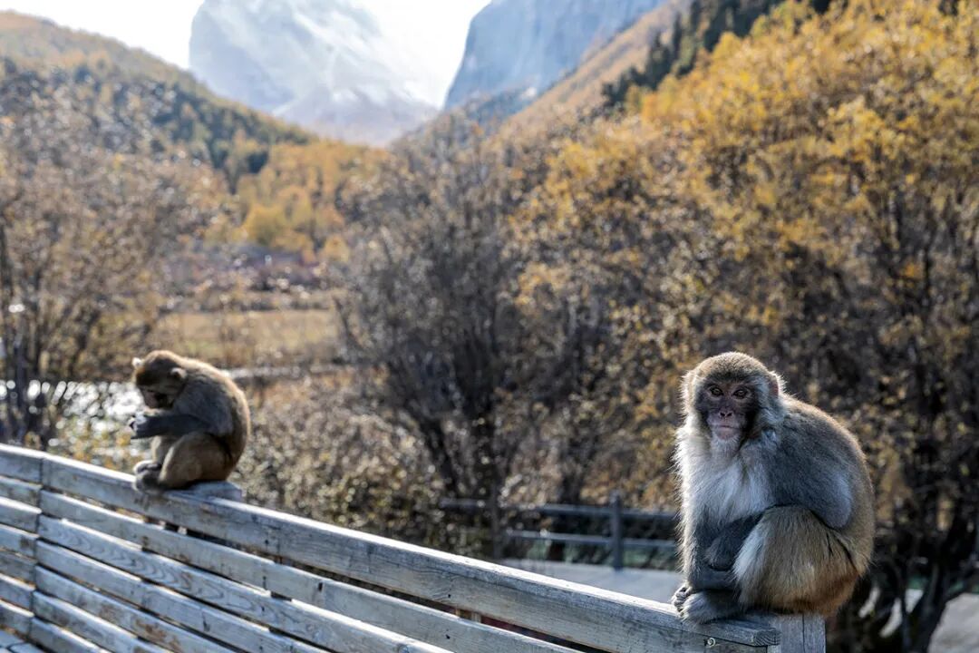 穿越冰峰 遇见稻城亚丁