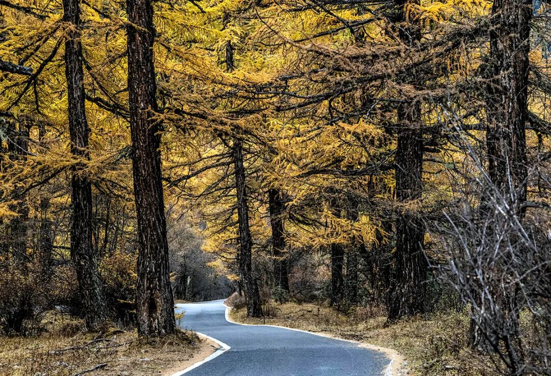 穿越冰峰 遇见稻城亚丁