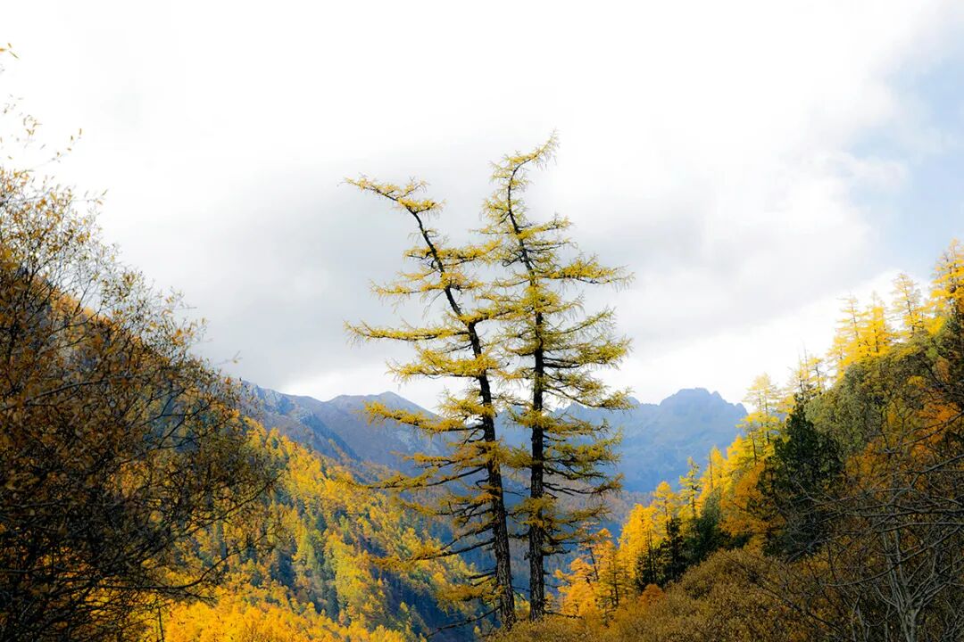 穿越冰峰 遇见稻城亚丁