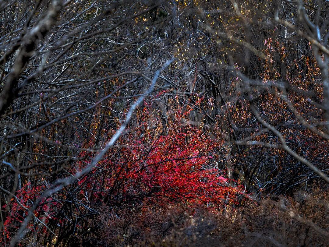 穿越冰峰 遇见稻城亚丁