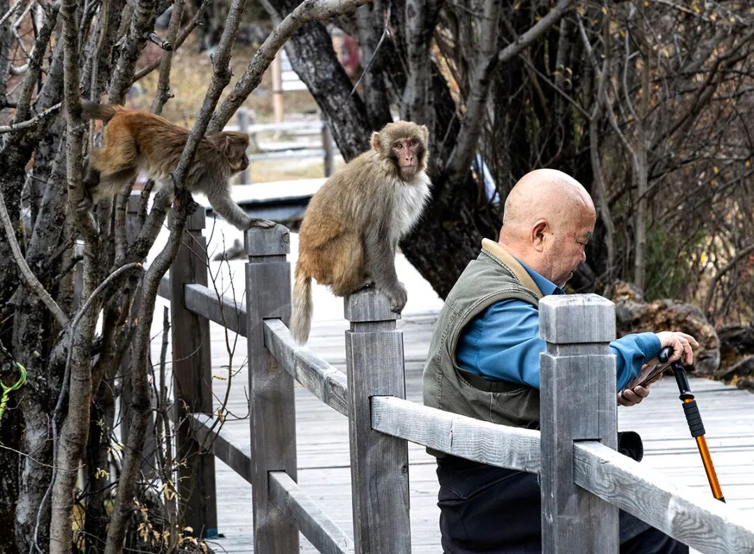 穿越冰峰 遇见稻城亚丁