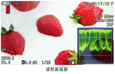 波形监视器 波形监视器