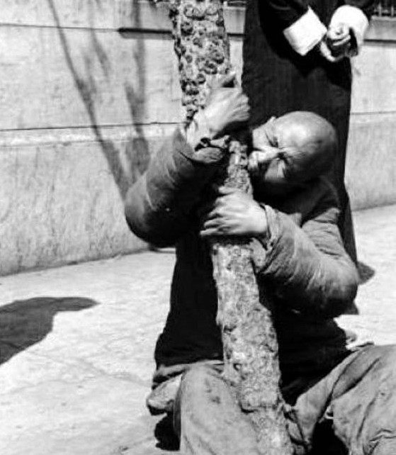1942年大饥荒的真实惨象