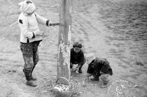 1942年大饥荒的真实惨象