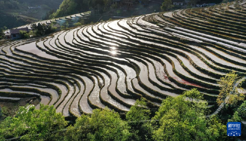 风光摄影：陕西岚皋千亩古梯田探访记